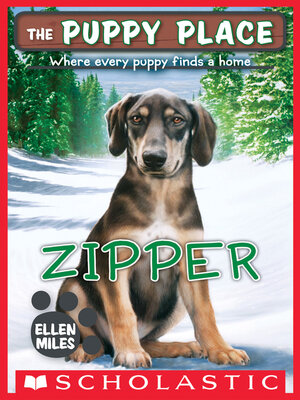 cover image of Zipper
